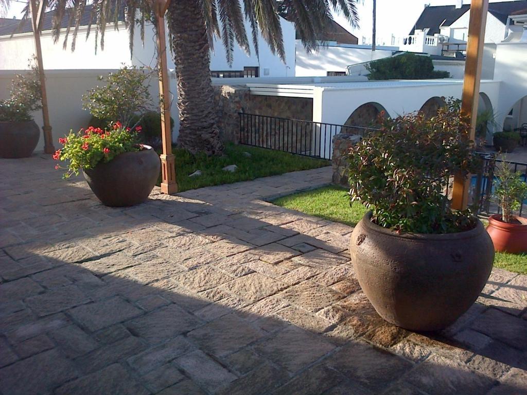 Nautilus Guest House Hermanus Exteriér fotografie
