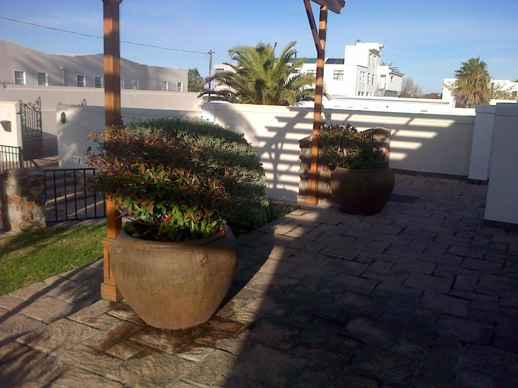 Nautilus Guest House Hermanus Exteriér fotografie